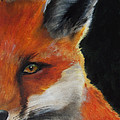 The Fox