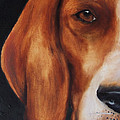 The Hound