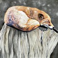 Sleeping fox