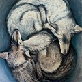 Yin Yang Wolves